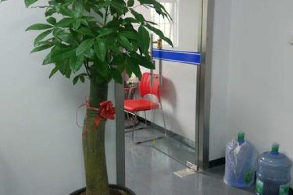 惠州家居风水名师榜单与推荐