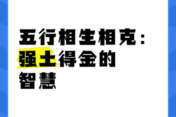 五行智慧与羿帆相结合，助你走向成功