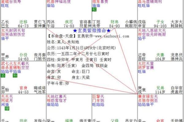 紫薇入命的深层含义与命理解析