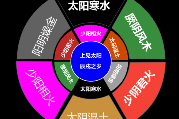 五行胜复调节：提升身体平衡与健康的神奇法则