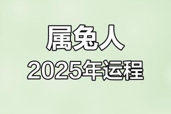 兔年运势大解析：如何迎接属于你的幸运与挑战