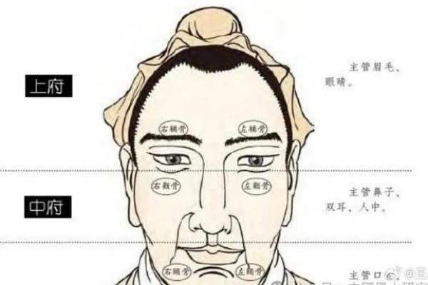男人的富贵命与脸型的关系揭秘