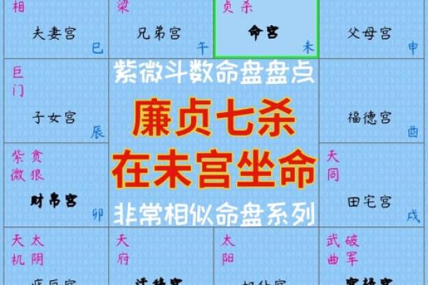 真命童子与命运的关系详解