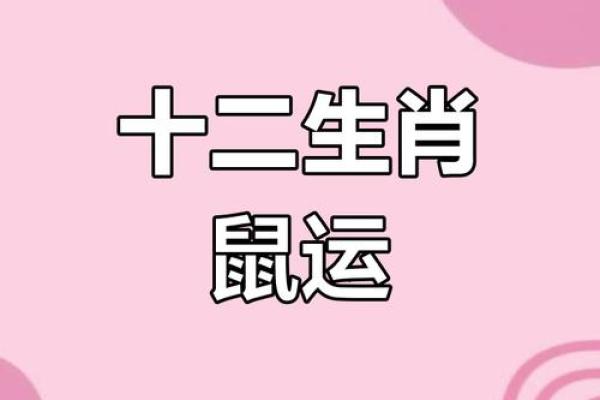 属鼠人今天的运势如何？详细分析