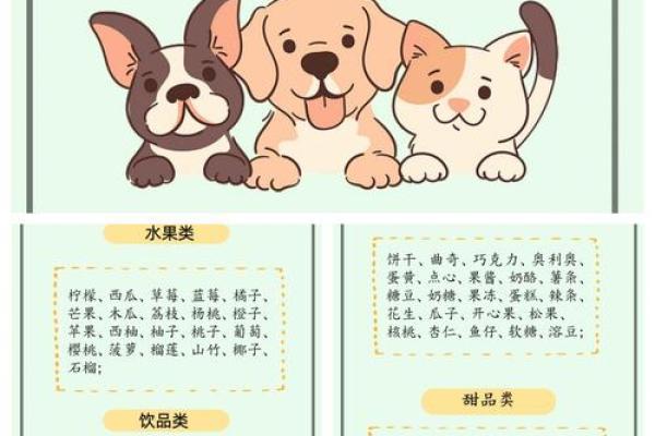 为小狗取名字的十个实用建议