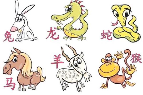 鼠和狗的生肖配对解析：是否能和谐共处？