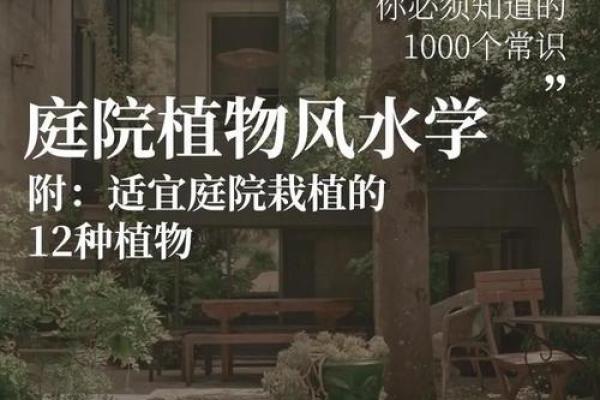 庭院风水影响家庭和谐的五大因素