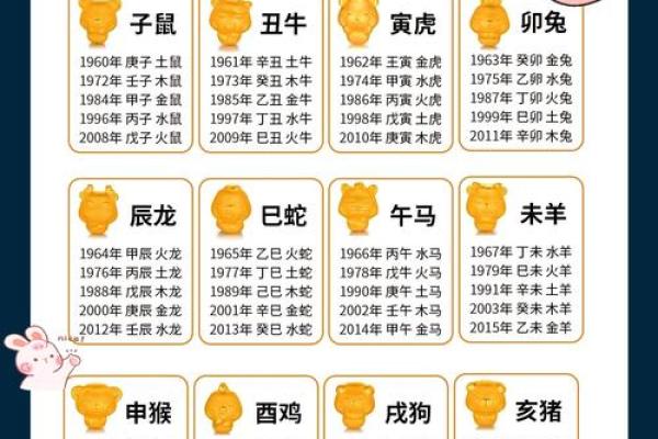 生肖五行揭秘：你属什么，五行运势如何影响你？