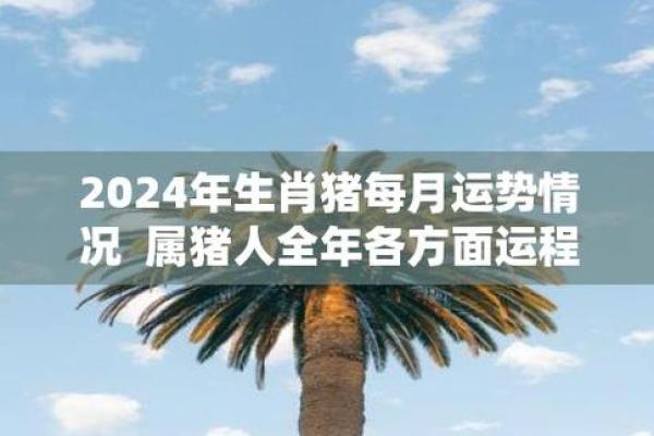 属猪人每月运势详解及应对策略
