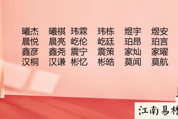 双胞胎名字如何根据生辰八字挑选，专家教你一步步来