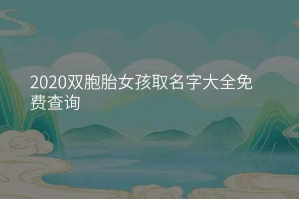双胞胎名字如何根据生辰八字挑选，专家教你一步步来