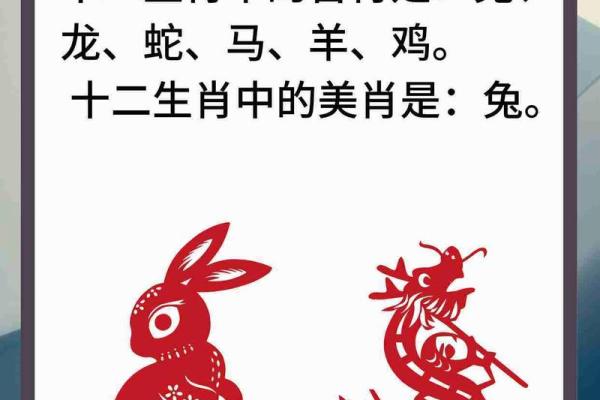 兔与蛇生肖配对的优缺点分析