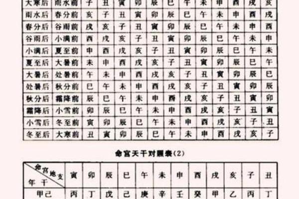 右命的概念解析与应用探讨