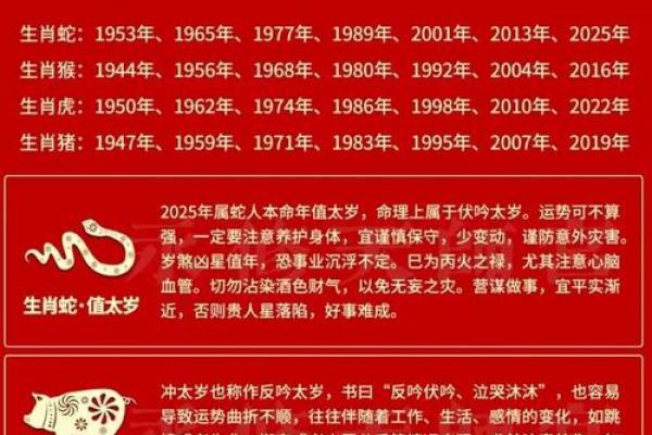 数字五行属性解析：了解它如何影响你的生活和运势
