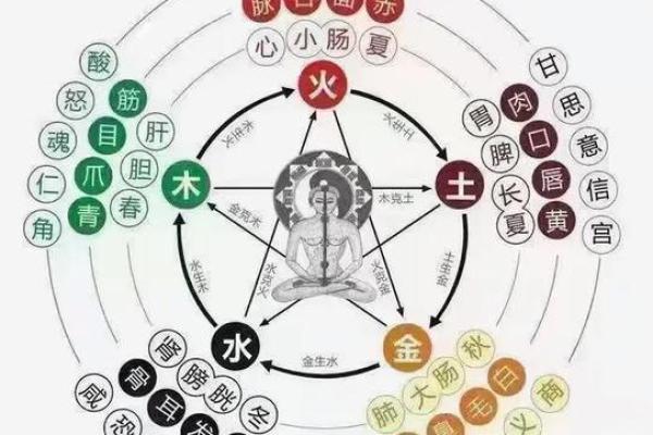 隔五行是什么？揭秘这个说法的背后含义和应用
