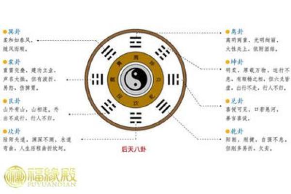 家居风水八卦图如何影响家庭运势与生活质量