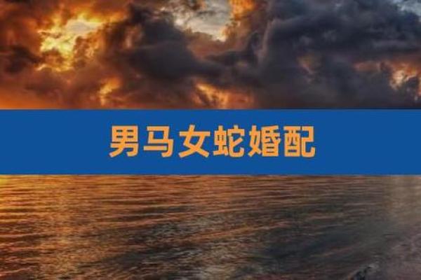 属马男与属蛇女配对的优缺点分析