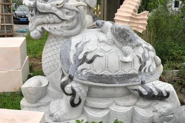 招财龟摆放位置与风水禁忌全解析