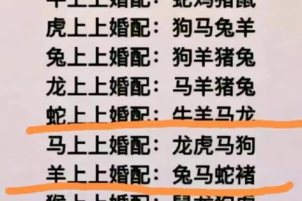 属狗男与属猪女能否走到最后？