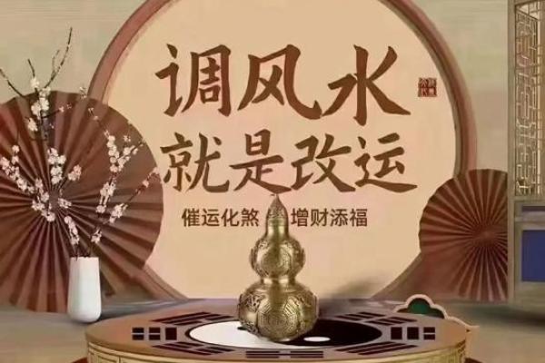 优化办公室风水提升工作效率的通知