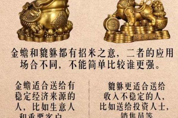 招财蛙风水如何助你财运亨通