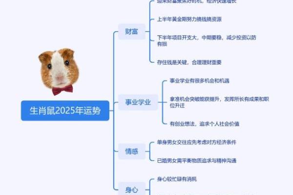 从性格到命运：大龙和鼠的匹配度探讨