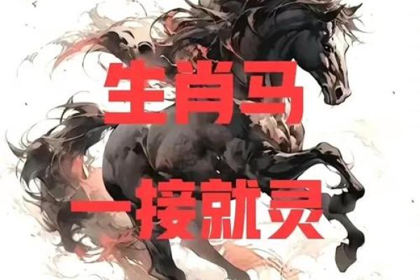 属马人在本命年如何调整心态