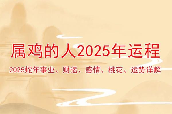 本命年属鸡如何在家庭中发挥更大作用