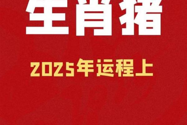 猪年运势走向：各生肖运程深度解析
