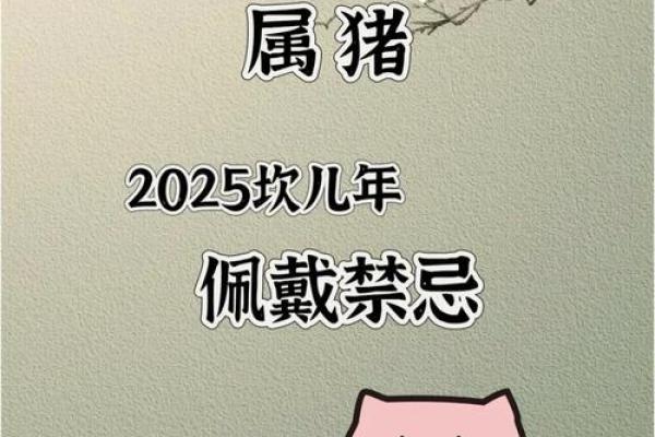 对猪年出生的人的运势影响及解析