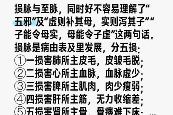 五行合作的智慧：如何通过五行相生相克提升团队协作效率