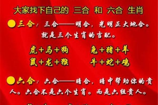 虎女和羊男的感情兼容性探讨