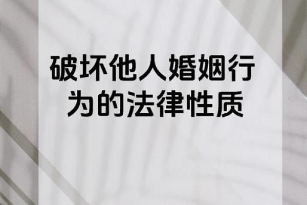 争夫命与恶夫命的深层含义解析及其对婚姻的影响