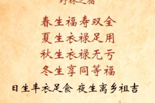 火兔命的命理解读与生活影响