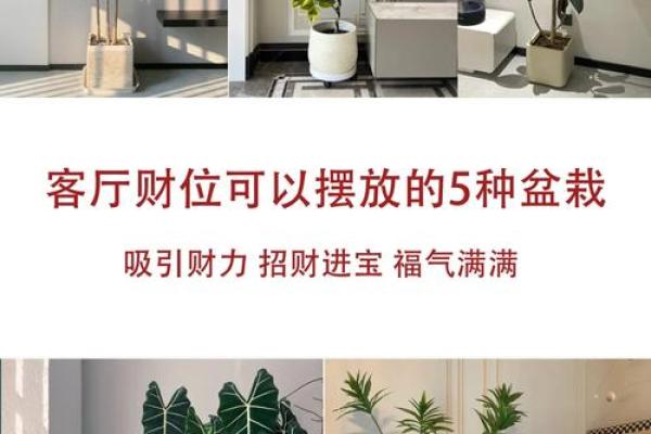 风水调整与家居布局：如何为家人带来好运