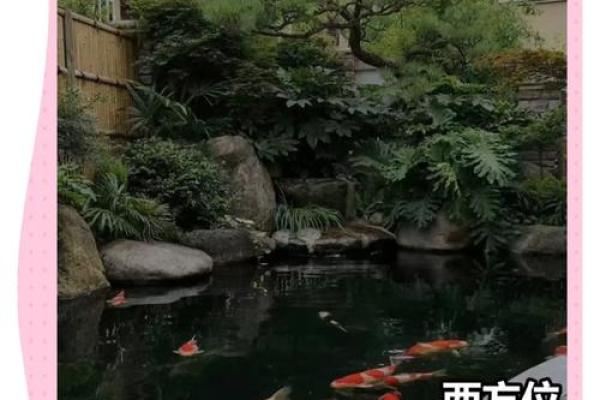 风水调整与家居布局：如何为家人带来好运