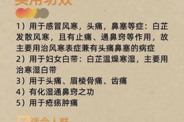 芷字五行属性解析与命理影响
