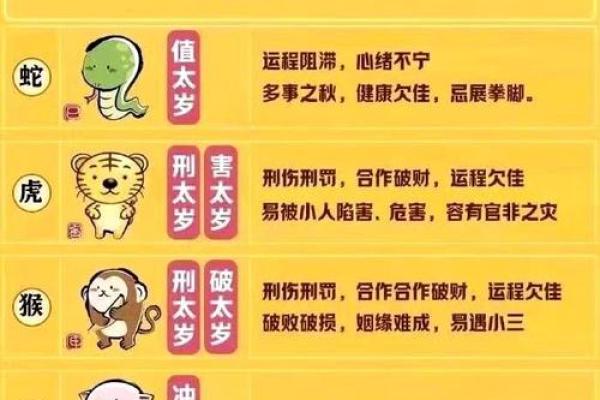 属蛇的生辰八字，揭秘命运大预测！