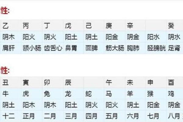 通过八卦生辰八字免费算命，掌握人生的关键！