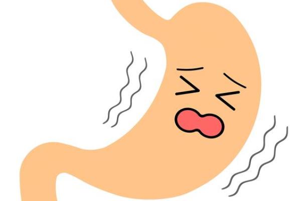 中和命的定义与影响解析