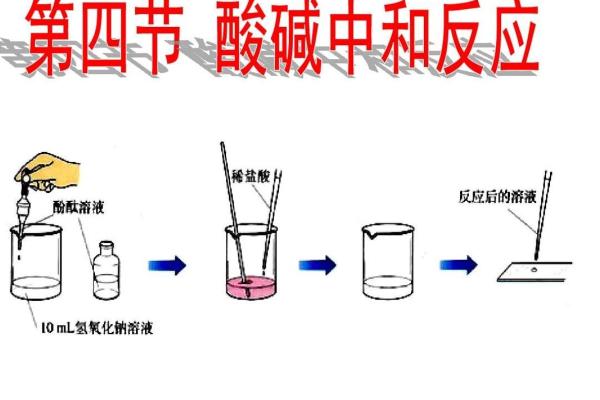中和命的定义与影响解析