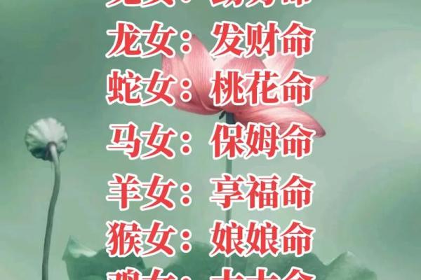 享福命的女人如何巧妙规划人生