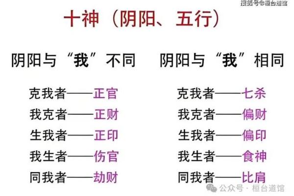 中上等命的定义与特征解析