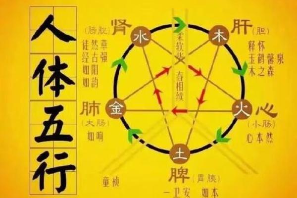 高宇泰五行揭秘：如何通过五行提升你的生活运势？