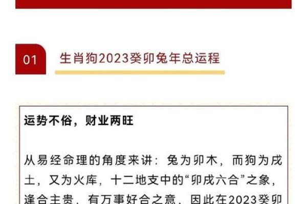 生肖狗今年运势预测：感情与健康的挑战与突破