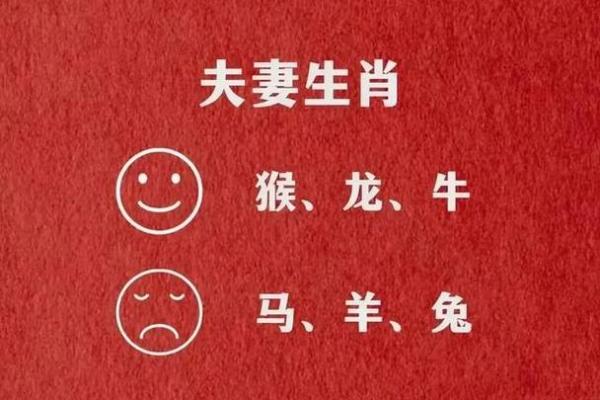 星座配对：兔男和马女是否注定一生幸福