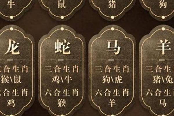 猪牛羊狗属于什么命的生肖解析与命理特点