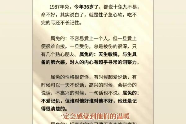 属兔人本命年如何获得更多的支持