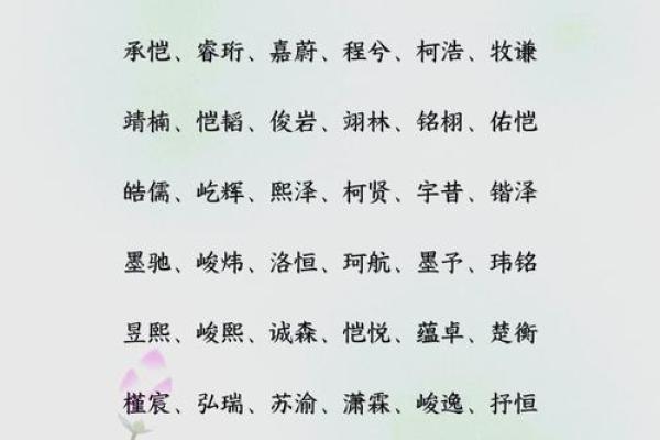小名字男孩：从传统到现代的完美结合