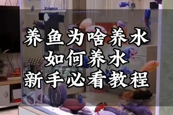 选择昆明家居风水鱼缸的最佳时机与技巧